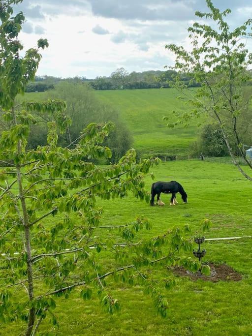 Field View Villa Braunston  Buitenkant foto